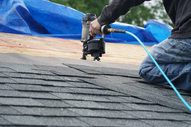 Best Metal Roofing Contractor  in Wellsville, UT